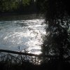 finnek 2011 016